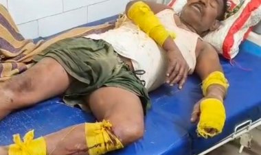 सीधी में यूकेलिप्टस काटने पर चाचा को पीटा:भतीजों ने लाठी-डंडों से हमला कर पैर फ्रैक्चर किया; अस्पताल में एडमिट