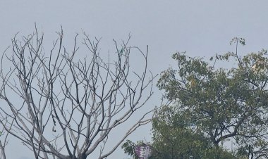 छतरपुर में बूंदाबांदी की संभावना:पश्चिमी विक्षोभ से मौसम बदला, बादल छंटते ही बढ़ेगी ठंड