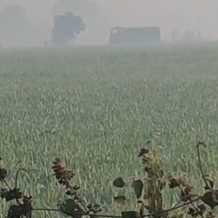 सीहोर में न्यूनतम तापमान 6 डिग्री सेल्सियस:23 से 25 जनवरी के बीच हल्की बारिश की संभावना